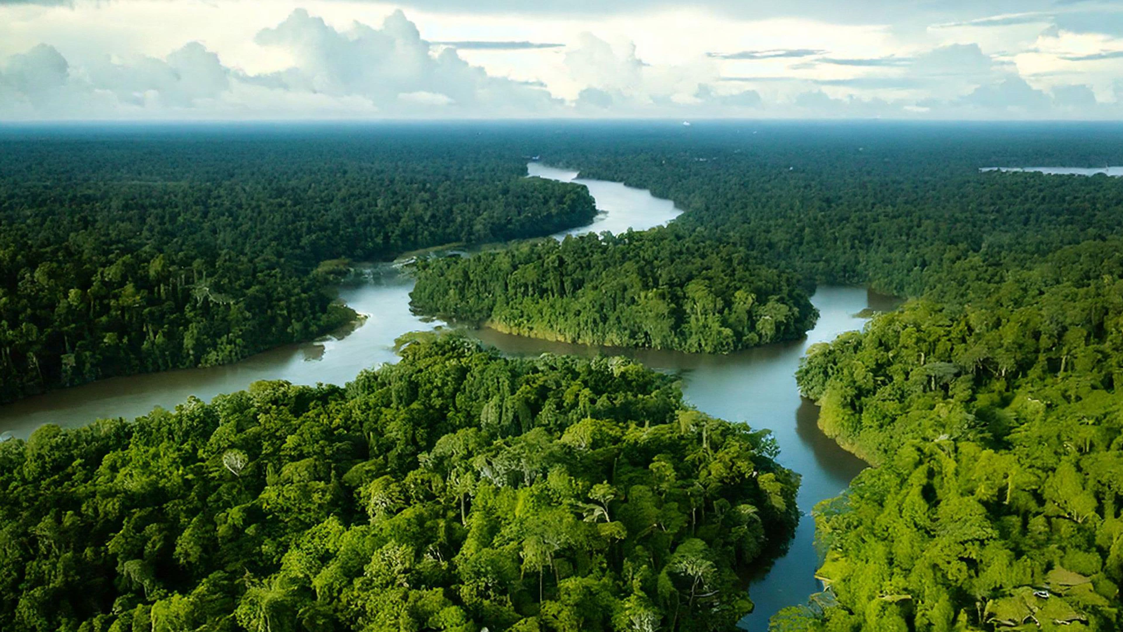 Ecuador realiza un canje de deuda para la conservación de la Amazonía.