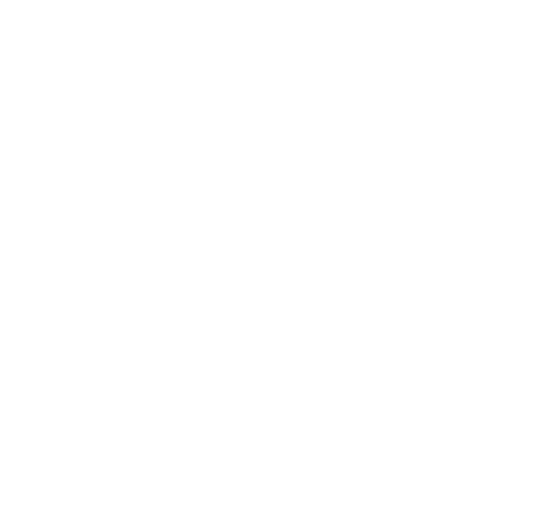 THE LEGAL 500