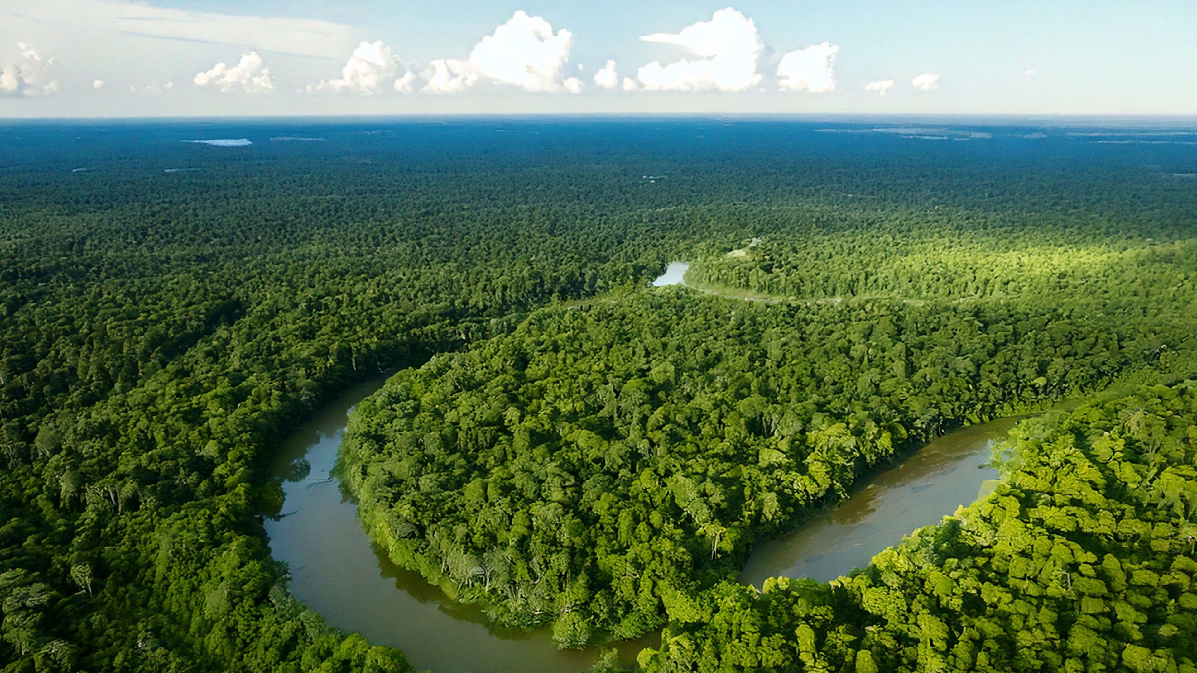 Ecuador asegura más de 800 millones de dólares para conservación a través de una conversión de deuda histórica.