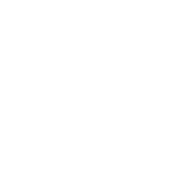 CHAMBERS GLOBAL